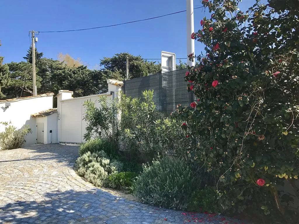 Villa Eco Del Mare 盖辛